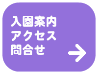 入園案内・アクセス・お問い合わせ